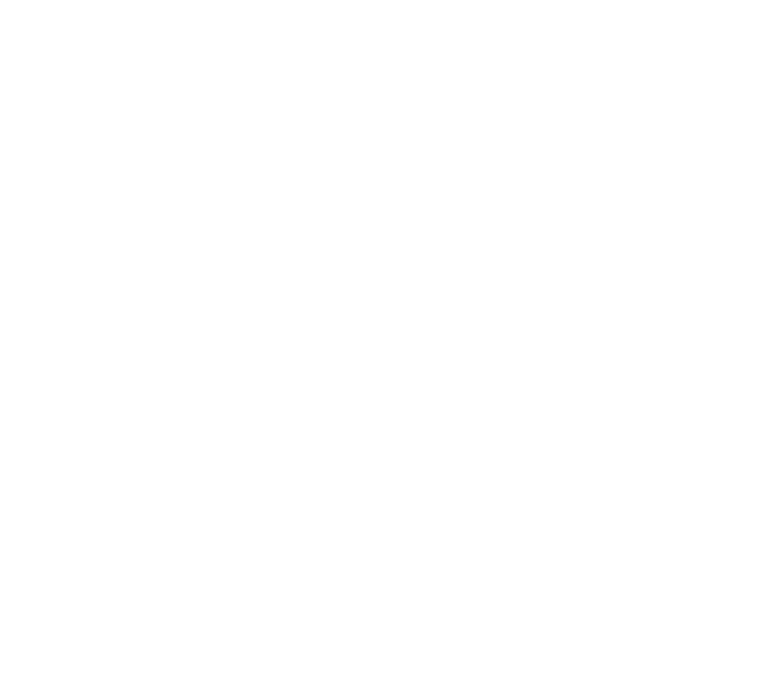 logo wiselabmedia white