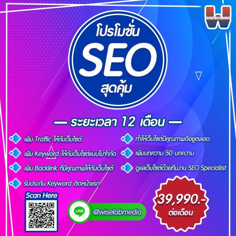 promotion SEO 12 month